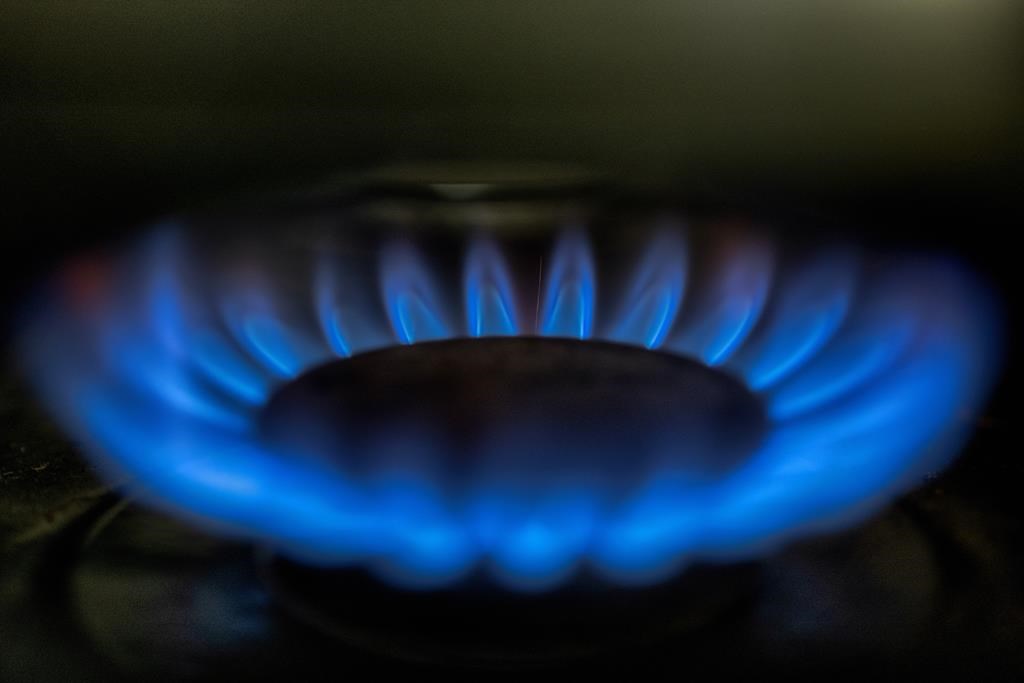  A gas-lit flame burns on a natural gas stove on Tuesday, March 26, 2024.